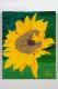 Kunstwerk - Sonnenblume