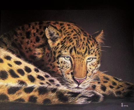 Leopard - Jacqueline Scheib - Array auf Array - Array - Leopard - Jacqueline Scheib - Array auf Array - Array -
