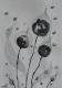 Art object - Allioideae