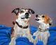 Art object - Freunde