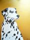 Art object - Juna-Marie