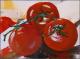 Art object - Tomaten