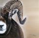 Art object - Ram