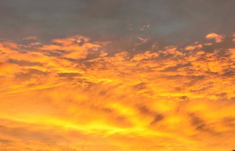 Serie Fotografie - Flávio do Nascimento - auf - Array - Serie Fotografie - Flávio do Nascimento - auf - Array -