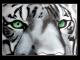 Kunstwerk - Eye of the Tiger