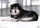 Art object - Alaskan Malamute 2