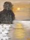 Art object - Winterland
