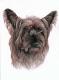 Art object - Australian Terrier