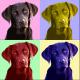 Art object - PopArt Labrador