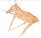 Art object - Erlegtes Reh