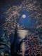 Art object - Geheimnis bei Mondlicht (2) (Serie)