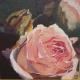 Kunstwerk - alternde Rose