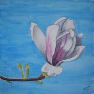 Magnolia 2 - Kristina Thome - Array auf Array - Array - Array Magnolia 2 - Kristina Thome - Array auf Array - Array - Array