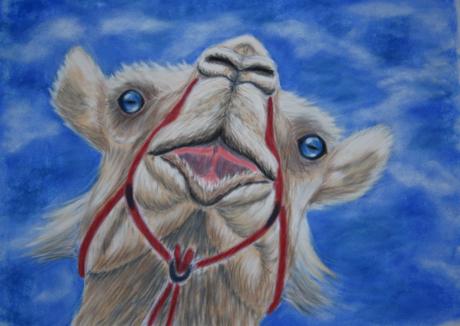 Kamel \Iswatt\ - Kristina Thome - Array auf Array - Array - Array Kamel \Iswatt\ - Kristina Thome - Array auf Array - Array - Array