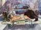 Art object - Havanna