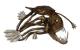 Art object - Anglerfisch 