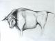 Kunstwerk - Stier -AggressivitÃ¤t aus BedrÃ¤ngnis
