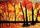 Kunstwerk - Herbstwald