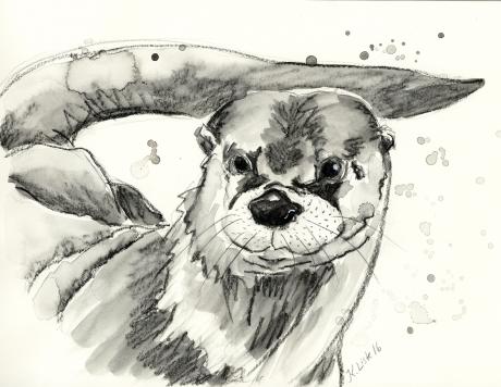 Otter 04 - Karin Liste - Array auf - Array - Array Otter 04 - Karin Liste - Array auf - Array - Array