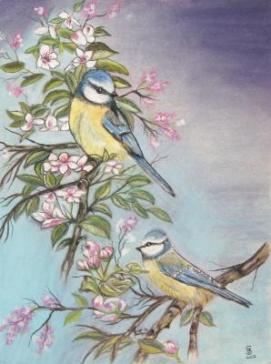 Blaumeisen - Jacqueline Scheib - Array auf - - Blaumeisen - Jacqueline Scheib - Array auf - -