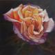 Kunstwerk - welkende Rose