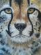 Leopard - Jacqueline Scheib - Pastell auf Papier - Natur - Leopard - Jacqueline Scheib - Pastell auf Papier - Natur -