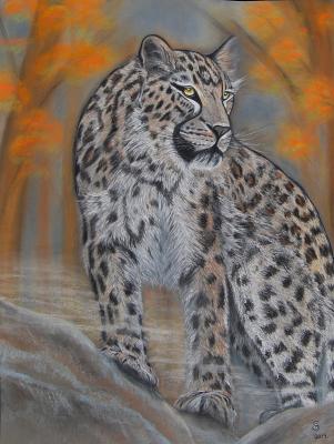 Leopard im Nebel - Jacqueline Scheib - Array auf - Array - Leopard im Nebel - Jacqueline Scheib - Array auf - Array -