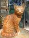 Art object - Kater rot