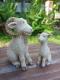 Art object - Ziegenbock mit Sohn