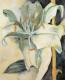 Art object - Lilie 1