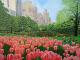 Kunstwerk - Springtime Central-Park