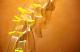Art object - Serpiente - Detalle -