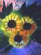 Kunstwerk - Sonnenblumen