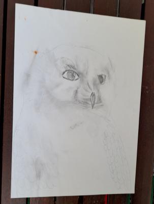 --- - Sandra Schmit - Array auf Array - Array - --- - Sandra Schmit - Array auf Array - Array -