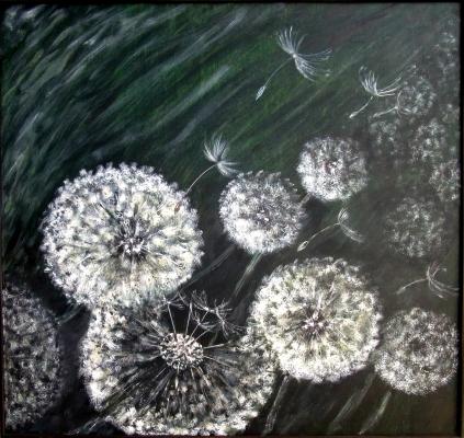 Pusteblume 3--- - Bernd Kohl - Array auf Array - Array - Pusteblume 3--- - Bernd Kohl - Array auf Array - Array -